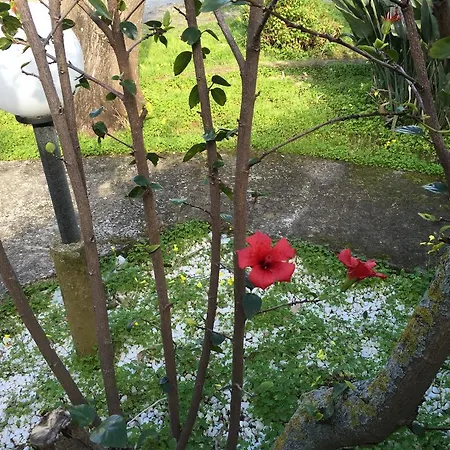 C'era Volta Lejlighedshotel